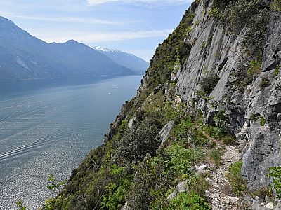 ... einen Tick weniger ausgesetzt, ...