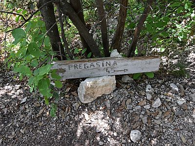 Wir wählen den steilen Aufstieg nach Pregasina