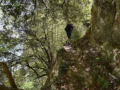 Hier ist der Weg deutlich ausgeprägter als im unteren Bereich