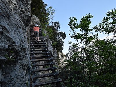 ... stellen aber sicherlich eine der ...
