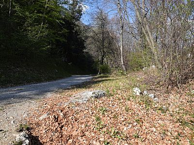 An der Fahrstraße biegen wir rechts ab