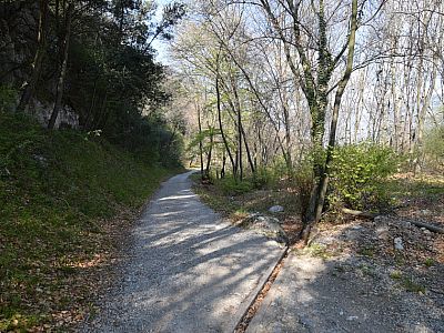 Auf dem breiten Weg wandern wir ... 