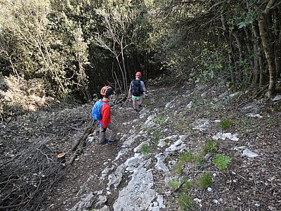 Steil geht es ein Stück bergab... 