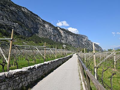 Dem geteerten Weg folgen wir ein Stück nach Norden bevor wir links abbiegen...