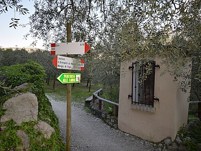 kündigen das Ende des Steiges an.