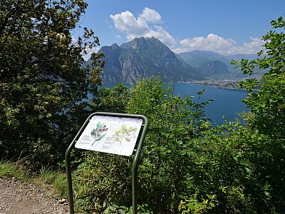 Tafeln informieren über die Tier- und Pflanzenwelt der Gegend