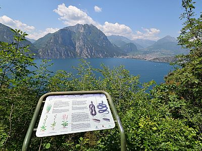 Eine Informationstafel vor dem Cima Sat und Riva del Garda