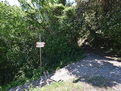 Hier biegen wir links ab und treffen wieder auf den Hinweg