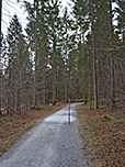 ...der uns parallel zur Pflegerseestraße...