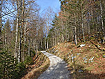 Wir halten uns weiter Richtung Burg Werdenfels...