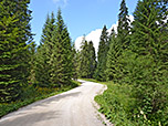 Wir bleiben am breiten Fahrweg
