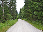 Nach der Tonihütte bleiben wir noch am Fahrweg...
