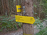 Wir schlagen den Weg zur Bobbahn ein