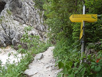 Hier zweigt nach links der Stangensteig ab