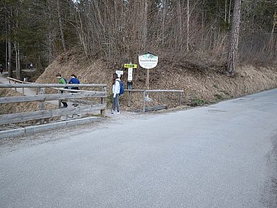...und Allgäuer Alpen