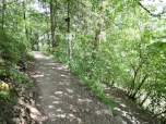 Durch den Wald ...