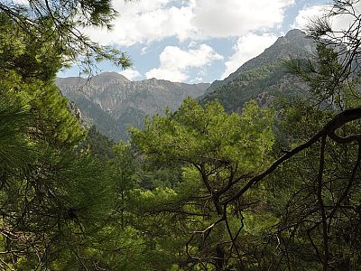 Blick in die Kalokambou Schlucht