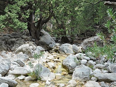 Kristallklares Wasser plätschert den Berg hinunter