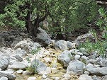 Kristallklares Wasser plätschert den Berg hinunter