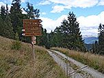 ...und des Öfteren einen Forstweg querend...