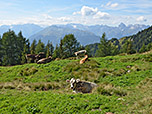Im Hintergrund zeigen sich die Stubaier Alpen