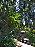 Über einen schattigen Waldweg gewinnen wir die ersten Höhenmeter