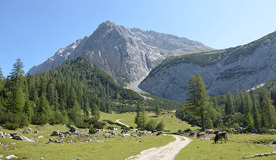 Von Scharnitz zum Hallerangerhaus und zur Hallerangeralm