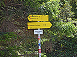 ...zum Abzweig am Kohlerwald