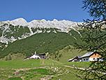 ...spazieren wir weiter zur Hallerangeralm