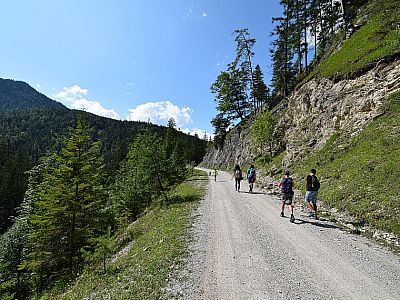 Auf der breiten Fahrstraße geht es nun nach Norden bergauf