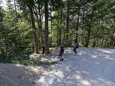 Hier verlassen wir die Forststraße und steigen wieder zum Gleirschbach ab