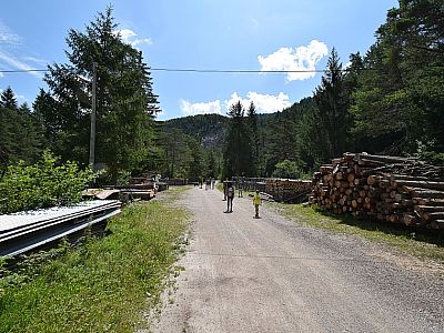 ... halten wir uns rechts und spazieren weiter auf einer breiten Fahrstraße