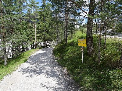 Hier bleiben wir links, auf dem unteren Weg Richtung Gleirschklamm und Scharnitzer Alm
