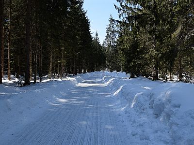 Meist ist der Weg perfekt geräumt