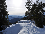 Der Pfad zum Aussichtspunkt der Tölzer Hütte, ...