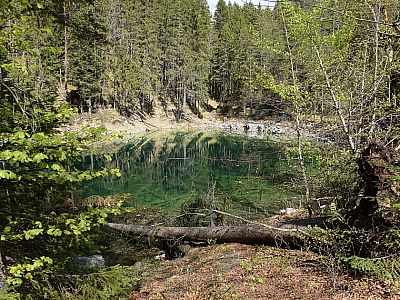 Der Steingringpriel hat keinen Zugang zum Eibsee