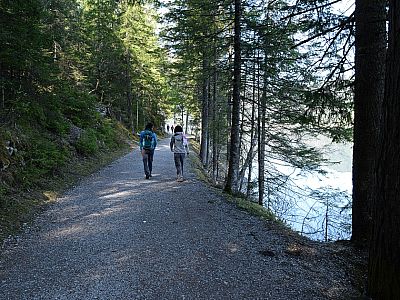 Der Rundweg ist durchweg auch mit dem Kinderwagen befahrbar