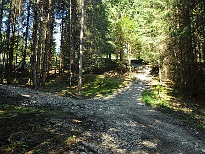 Wir halten uns rechts...