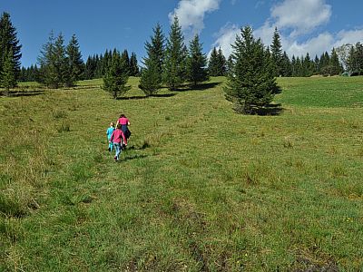 Auf einem angedeuteten Pfad...