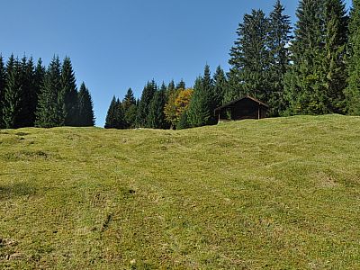 Wir wandern durch eine Schneise nach Westen.