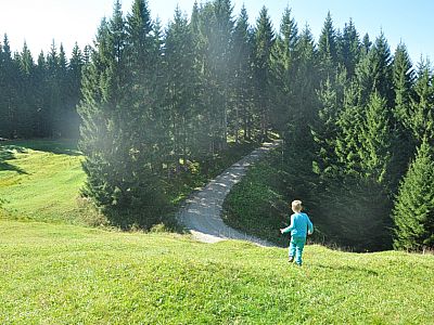 Nach ein paar Minuten über die Wiese erreichen wir wieder eine Fahrstraße.