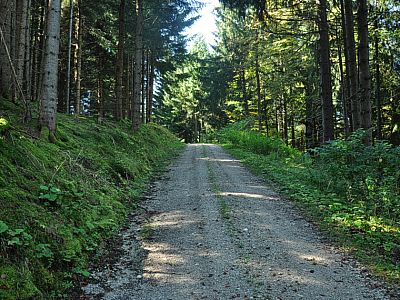 Dieser folgen wir nach Westen