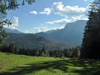 An einer Wiese vorbei...