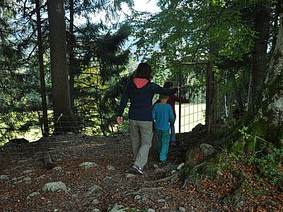 Es geht durch ein kleines Gatterl