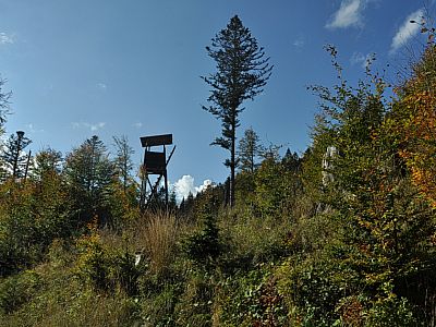 Ein Jägerstand oberhalb des Weges