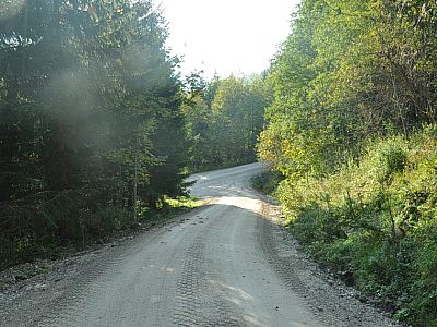 Wir treffen auf eine weiter Forststraße und halten uns links