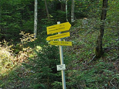 Die gute Beschilderung macht...