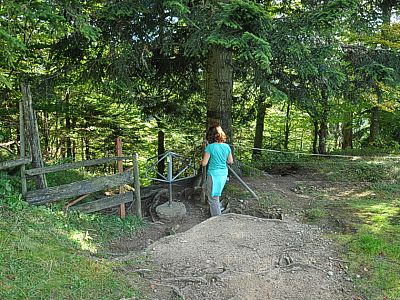 Wir passieren ein Weidegatter...