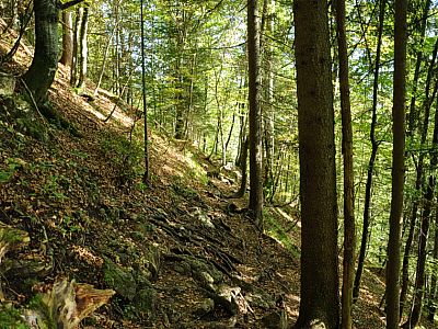 ... und steigen über Stock und Stein...