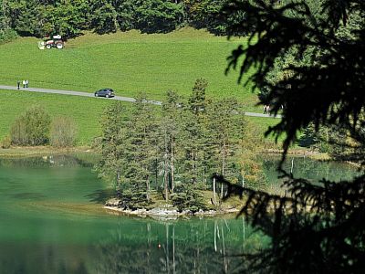 Die kleine Insel im Hintersteiner See